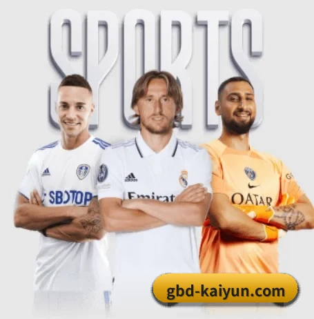 开云 APP - kaiyun