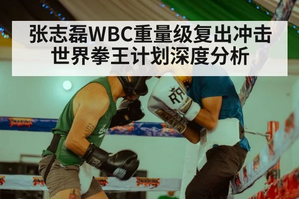 张志磊WBC重量级复出冲击世界拳王计划深度分析（kaiyun）